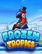 สูตรการเล่นเกมไพ่ คาสิโนออนไลน์ ที่ไม่ควรพลาด